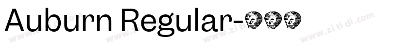 Auburn Regular字体转换